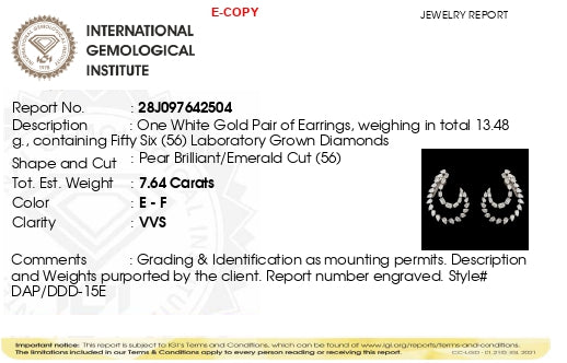 The Radiant Essence | white-gold earrings with EF color and VVS-VS clarity diamonds